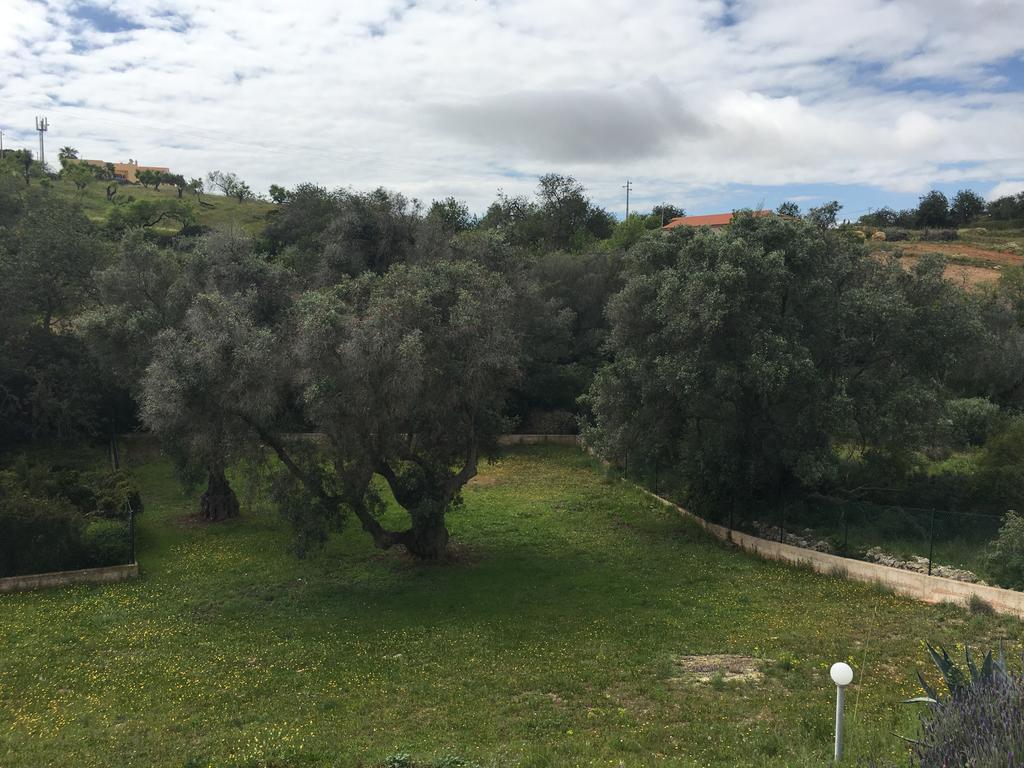 Сasa de vacaciones Terras Novas